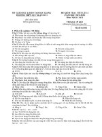 Đề kiểm tra 1 tiết HK2 môn Vật lí 11 năm 2019-2020 - Trường THPT Lục Ngạn số 1 (Lần 2)