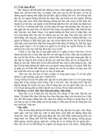 Sáng kiến kinh nghiêm rèn kĩ năng đọc cho học sinh lớp 3 