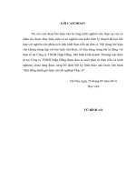 Mô hình kinh doanh thương mại điện tử tại công ty trách nhiệm hữu hạn hiệp đồng 