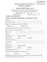 Tờ khai thuế thu nhập cá nhân (Mẫu số 03 BĐS-TNCN)