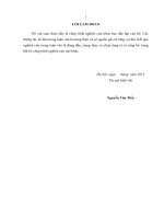 Một số giải pháp hoàn thiện công tác thanh tra kiểm tra thuế tại cục thuế nam định 