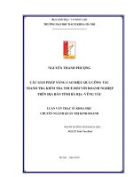 Các giải pháp nâng cao hiệu quả công tác thanh tra kiểm tra thuế đối với doanh nghiệp trên địa bàn tỉnh bà rịa vũng tàu 