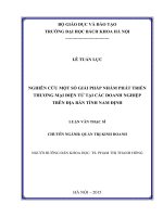 Nghiên cứu một số giải pháp nhằm phát triển thương mại điện tử tại các doanh nghiệp trên địa bàn tỉnh nam định 