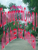 slide bài giảng đại số10 tiết 21 phương trinh và hệ phương trình bậc nhất nhiều ẩn 