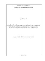 Nghiên cứu công nghệ sản xuất canxi cacbonat từ vỏ hầu để làm chất phụ gia thực phẩm 