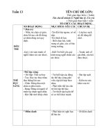 GIÁO ÁN TUẦN 13 BÁC SĨ Y TÁ