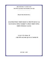 Giải pháp phát triển dịch vụ phi tín dụng tại Ngân hàng Nông nghiệp và phát triển nông thôn tỉnh Bắc Giang