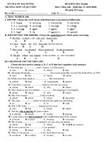 Đề kiểm tra 1 tiết HK2 môn Tiếng Anh 11 năm 2019-2020 có đáp án - Trường THPT Lê Quý Đôn