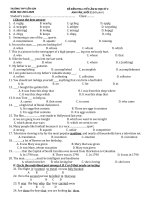 Đề kiểm tra 1 tiết HK2 môn Tiếng Anh 11 năm 2019-2020 - Trường THPT Liễn Sơn (Lần 2)