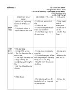 Giáo án chính tuần 13- Chủ đề: Những nghề bé biết- nhánh 2: Nghề chắm sóc sức khỏe