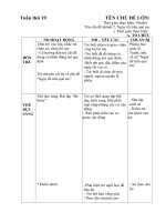 giáo án tuần 19 Cđ ngày tết và mùa xuân nhánh 2 Ngày tết trên quê em