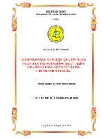Giải pháp nâng cao hiệu quả tín dụng ngắn hạn tại ngân hàng phát triển nhà đồng bằng sông cửu long chi nhánh an giang 