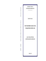 Thuyết minh phim tự động sử dụng tổng hợp tiếng nói tiếng việt 