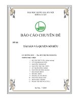 Bao cao chuyen de   tai san va quyen so huu