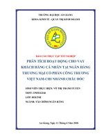 Phân tích hoạt động cho vay khách hàng cá nhân tại ngân hàng thương mại cổ phần công thương việt nam chi nhánh châu đốc 