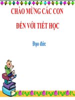 Đạo đức 3 - Tuần 21 - Tôn trọng khách nước ngoài