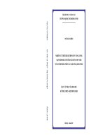 Nghiên cứu thiết kế hệ thống pin năng lượng mặt trời nối lưới công suất đến 10 MW cho vùng nuôi trồng thủy sản tam nông đồng tháp 
