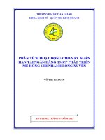 Phân tích hoạt động cho vay ngắn hạn tại ngân hàng TMCP phát triển mê kông chi nhánh long xuyên 