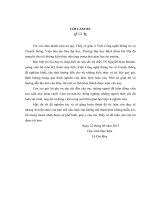 Nghiên cứu và thử nghiệm giao thức định tuyến theo mô hình phân cấp trong mạng cảm biến không dây 