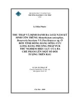 Thu thập và định danh ba loài nấm ký sinh côn trùng metarhizium anisopliae beauveria bassiana và paecilomyces sp ở bốn tỉnh đồng bằng sông cửu long 
