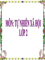TNXH- Tuần 22- Lan Hương - Lop 2A7: Cuộc sống xung quanh ( tiết 2)