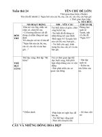 giáo án tuần 24 chủ đề cây và những bông hoa đep nhánh ngày hội của các bà mẹ các cô và các bạn gái