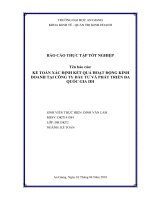 Kế toán xác định kết quả hoạt động kinh doanh tại công ty đầu tư và phát triển đa quốc gia IDI 
