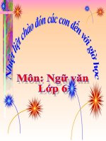 Ngữ văn: Tiết 89-90: Buổi học cuối cùng