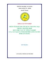 Phân tích rủi ro tín dụng thương mại trong trường hợp bán chịu vật tư nông nghiệp của các đại lý ở thành phố long xuyên tỉnh an giang 