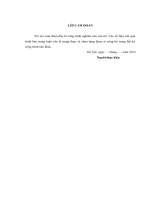 Đề xuất giải pháp phòng ngừa giảm thiểu ô nhiễm môi trường và thiết kế cải tạo nâng cấp hệ thống xử lý nước thải nhà máy bia việt hà tại KCN tiên sơn tỉnh bắc ninh 