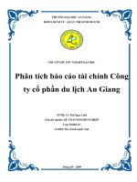 Phân tích báo cáo tài chính công ty cổ phần du lịch an giang 