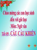 Ngữ Văn: Tiết 85 Câu cầu khiến