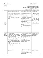 giáo án tuần 3 trường mầm non Nhánh 3 Vui tết trung thu