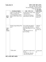 Giáo án tuần 31 nhánh mùa hè đén rồi chủ đề mùa hè đến rồi