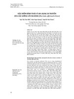 Đặc điểm hình thái và đa dạng di truyền của các giống cây ba kích (Morinda officinalis How)