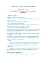 Giáo án chủ đề lịch sử 6 kì 2 soạn chuẩn  theo cv 3280 và cv 5512 mới nhất    cuộc đấu tranh giành độc lập