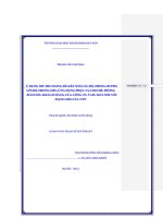 Sử dụng siptrunking để kết nối các hệ thống IPPBX với hệ thống IMS ứng dụng phục vụ cho hệ thống chăm sóc khách hàng của công ty VASC kết nối với mạng IMS của VTN 