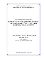 Tìm hiểu vị trí nhân viên marketing ngành gạo tại công ty cổ phần xuất nhập khẩu an giang 