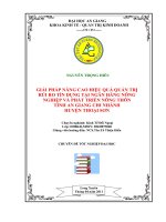 Giải pháp nâng cao hiệu quả quản trị rủi ro tín dụng tại ngân hàng nông nghiệp và phát triển nông thôn tỉnh an giang chi nhánh huyện thoại sơn 
