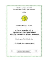 Kế toán ngân sách tại ủy ban nhân dân xã mỹ phú đông huyện thoại sơn tỉnh an giang 
