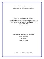 Kế toán vốn bằng tiền tại nhà máy sản xuất thuốc bảo vệ thực vật châu thành 