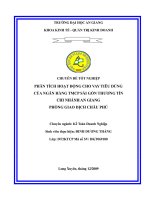 Phân tích hoạt động cho vay tiêu dùng của ngân hàng TMCP sài gòn thương tín chi nhánh an giang phòng giao dịch châu phú 