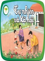 TNXH - Tuần 23 - Ôn tập chủ đề: Thực vật và động vật ( T2 )