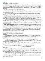 nhiu mon nhung hoc giai phau thoi 