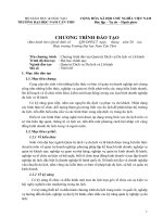 13. Chương trình đào tạo ngành Quản trị dịch vụ du lịch và lữ hành, bậc đại học