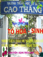 slide bài giảng công nghệ lớp 6 tiết 12 thực hành cắc khâu bảo tay trẻ sơ sinh 
