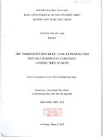 Thử nghiệm lên men rượu vang bưởi bằng nấm men saccharomyces cerevisiae 