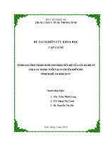 Đề tài nghiên cứu khoa học cấp cơ sở đánh giá tình trạng nuôi con bằng sữa mẹ của các bà mẹ có con 0 24 tháng tuổi tại 10 huyện miền núi tỉnh nghệ an năm 2019 