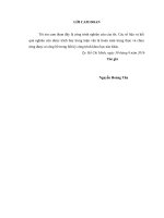 Các yếu tố ảnh hưởng đến sự gắn bó của nhân viên với tổ chức tại khách sạn Dakruco