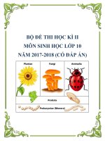 Bộ đề thi học kì 2 môn Sinh học lớp 10 năm 2017-2018 có đáp án